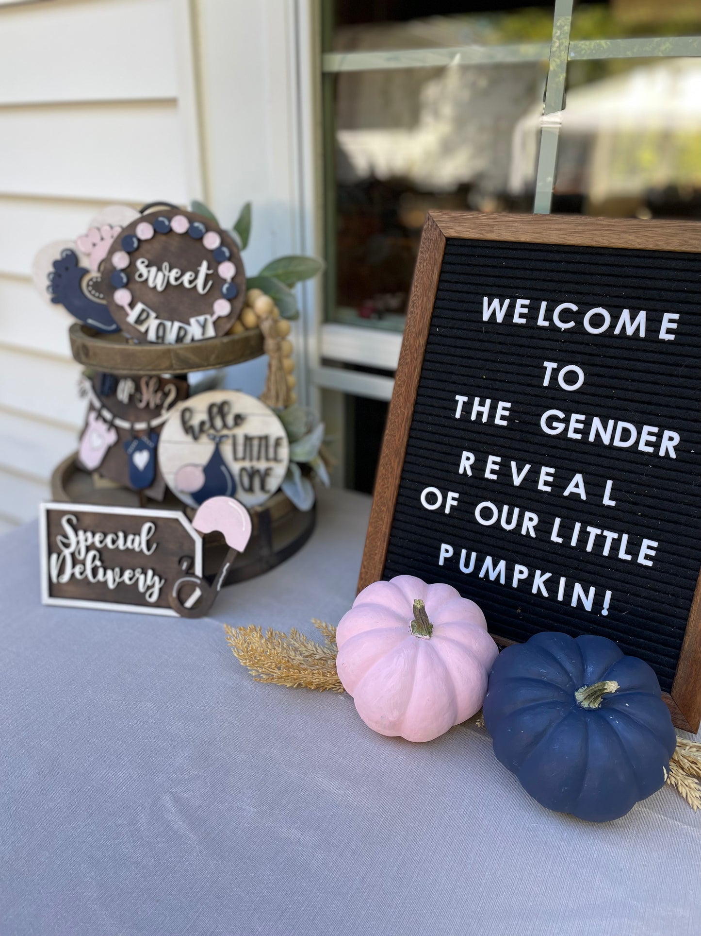 Baby Gender Reveal Tiered Tray DIY Kit