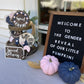 Baby Gender Reveal Tiered Tray DIY Kit