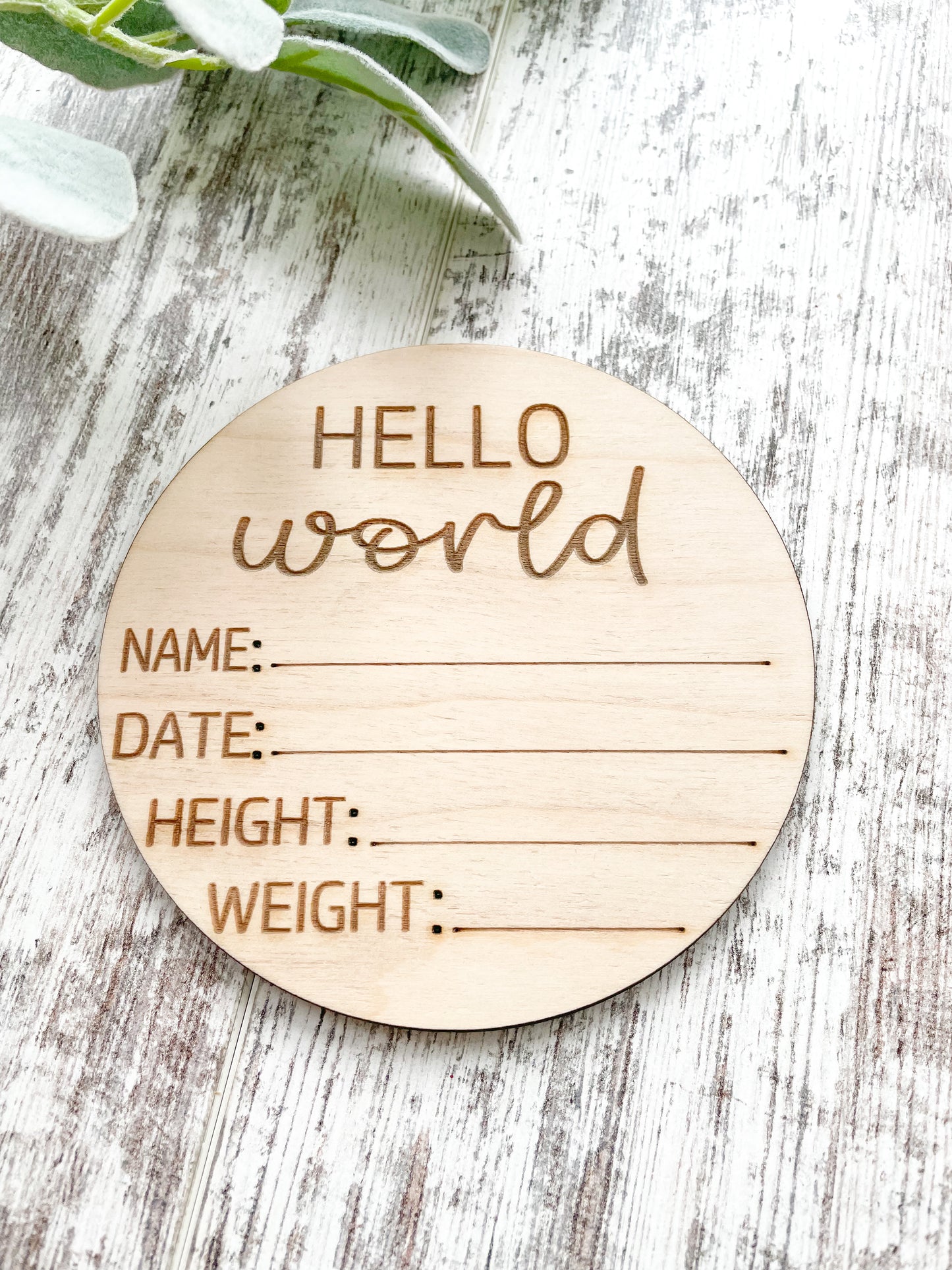 Hello World Baby Sign