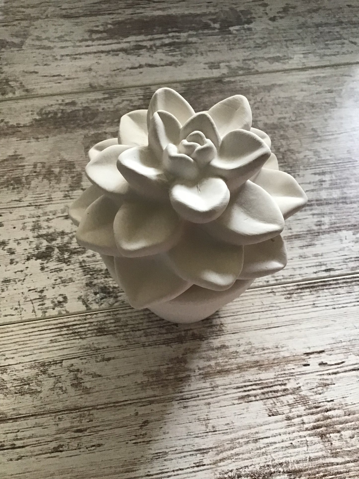 Ceramic Succulent